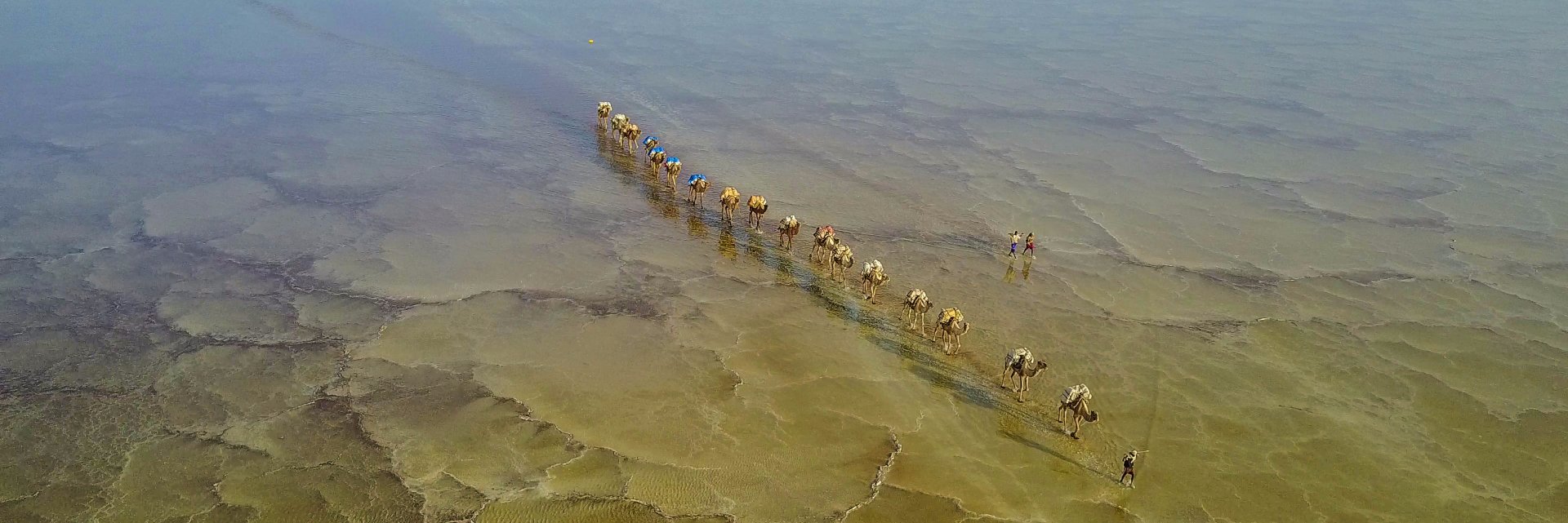 Oliver Varney banner