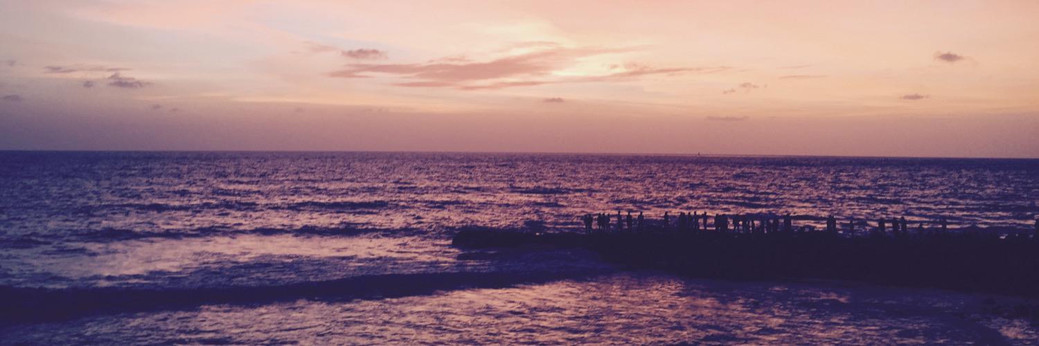 Pseudocoder1's profile banner image