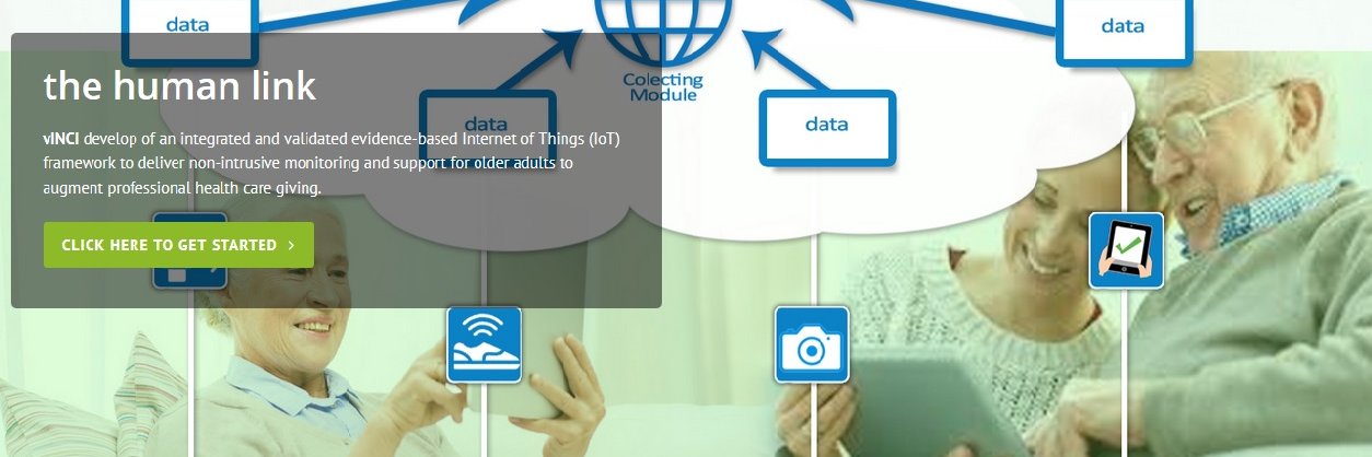 vINCI_project banner