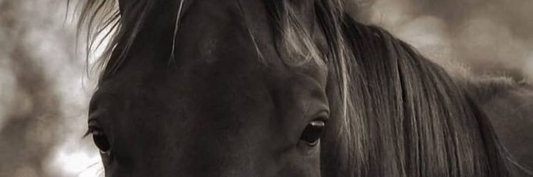 Mervtrhnn's profile banner image