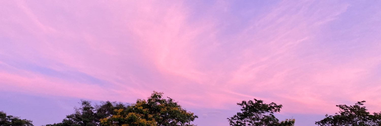 ericapascual's profile banner image