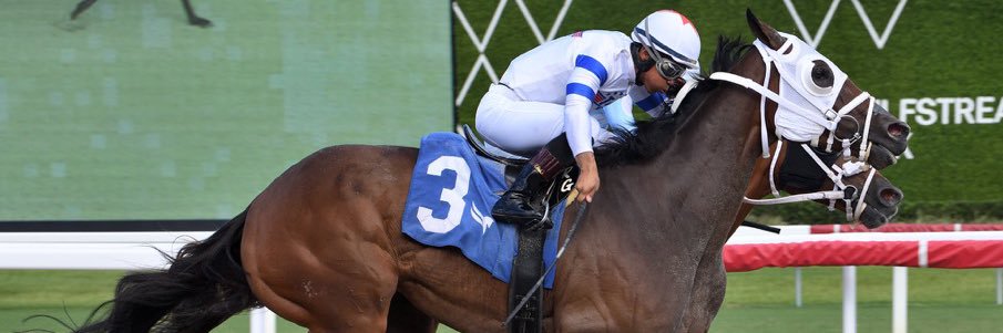 Laura Cazares banner