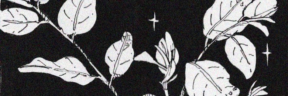 ＡＫＡ✸ＣＯＢＳ /▷▷ COMMISSIONS CLOSED banner