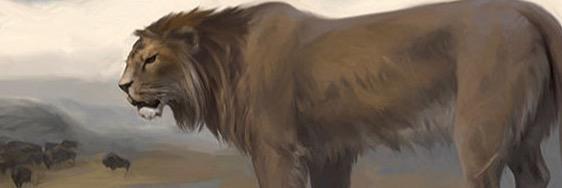Mustafaalkodf's profile banner image
