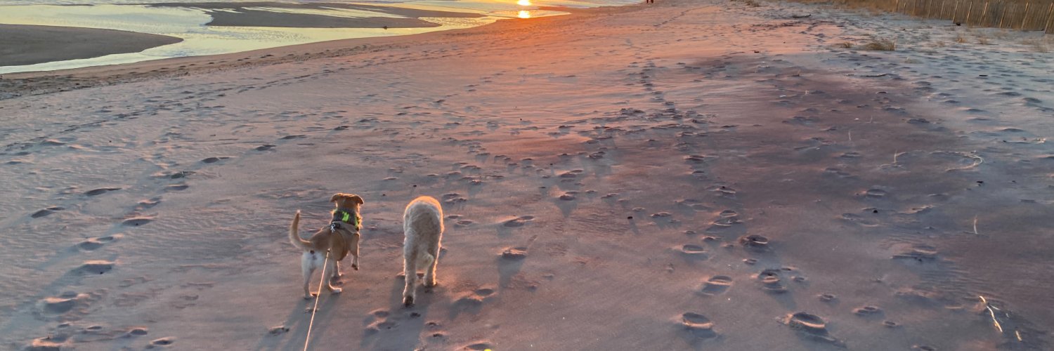 out of the Nihilo ... banner