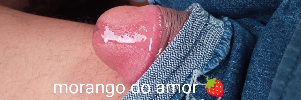 PUNHETOLÂNDIA banner