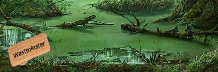 Zero Politicians banner