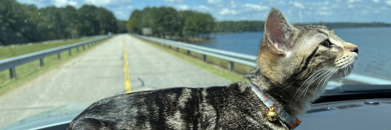 karsyn_crain's profile banner image