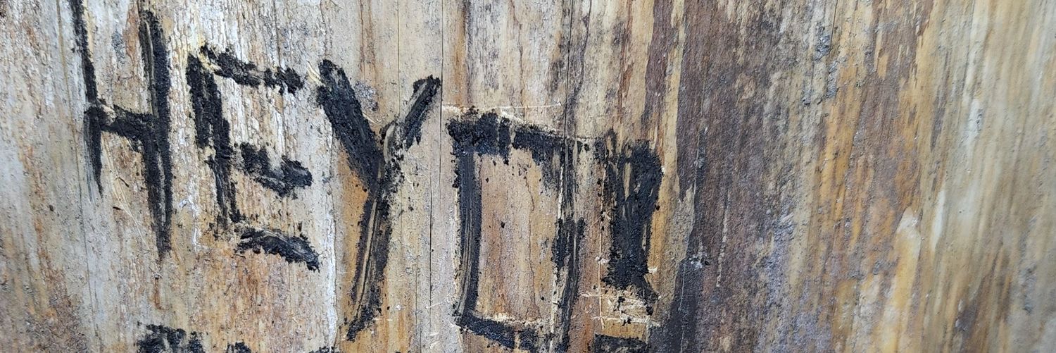 bing bong banner