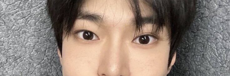 kimshu banner