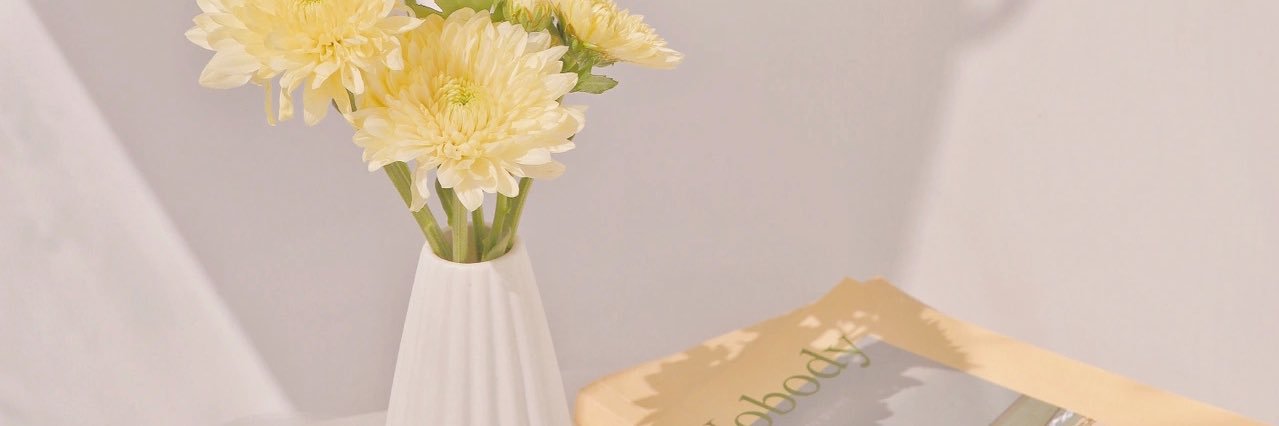 Lalalalemon banner
