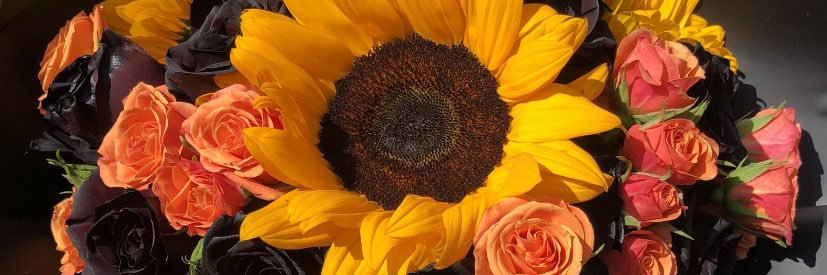 Shelby Brooke banner
