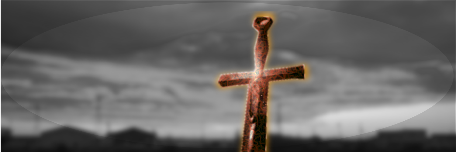 飛盤海豚M(フリスビードルフィンM) banner