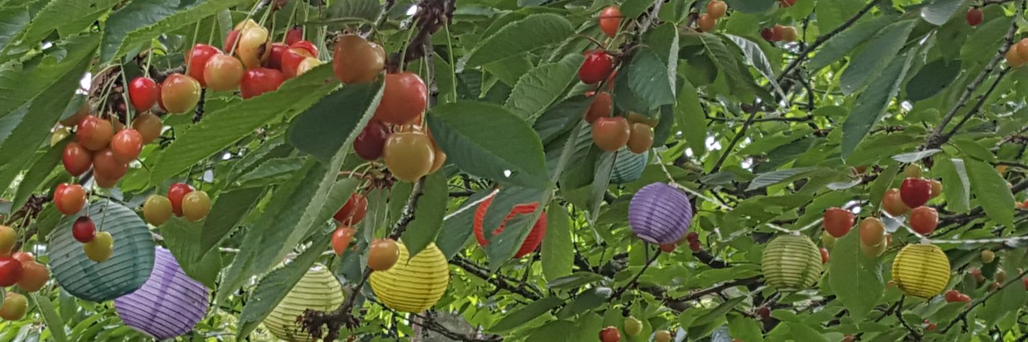 PBLitmaath's profile banner image