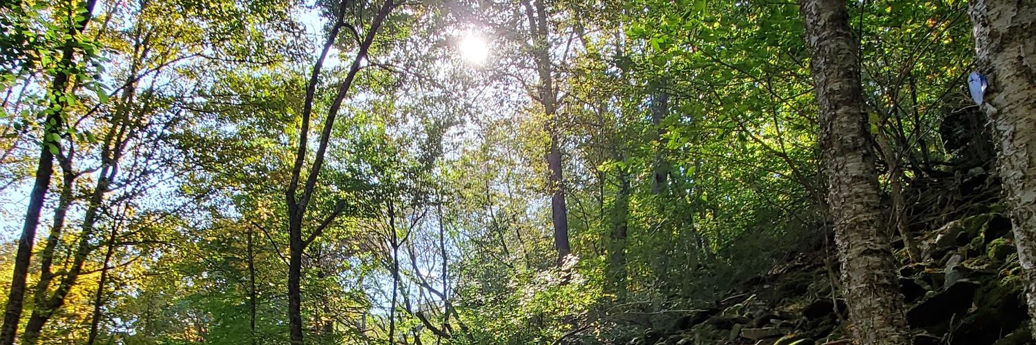 DiscoverGrit's profile banner image