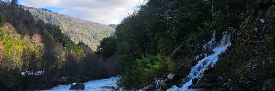 margaritarm's profile banner image