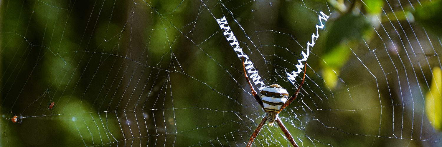 Richa Singh, PhD banner