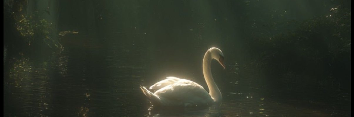 Boo_Berry1031's profile banner image