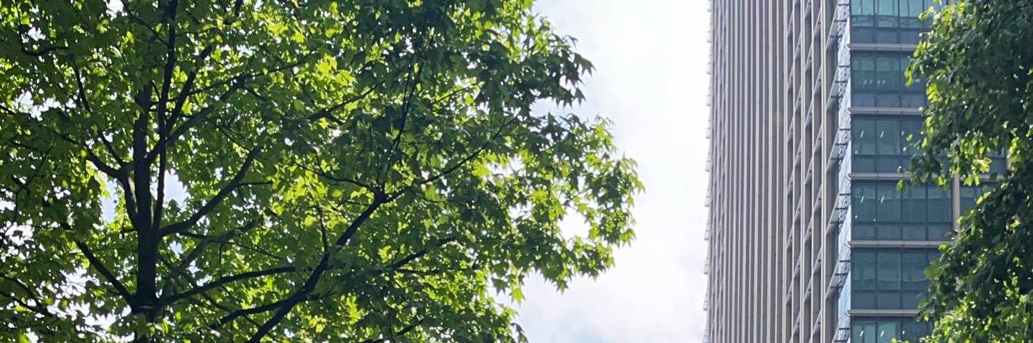 SatoruMorimori's profile banner image