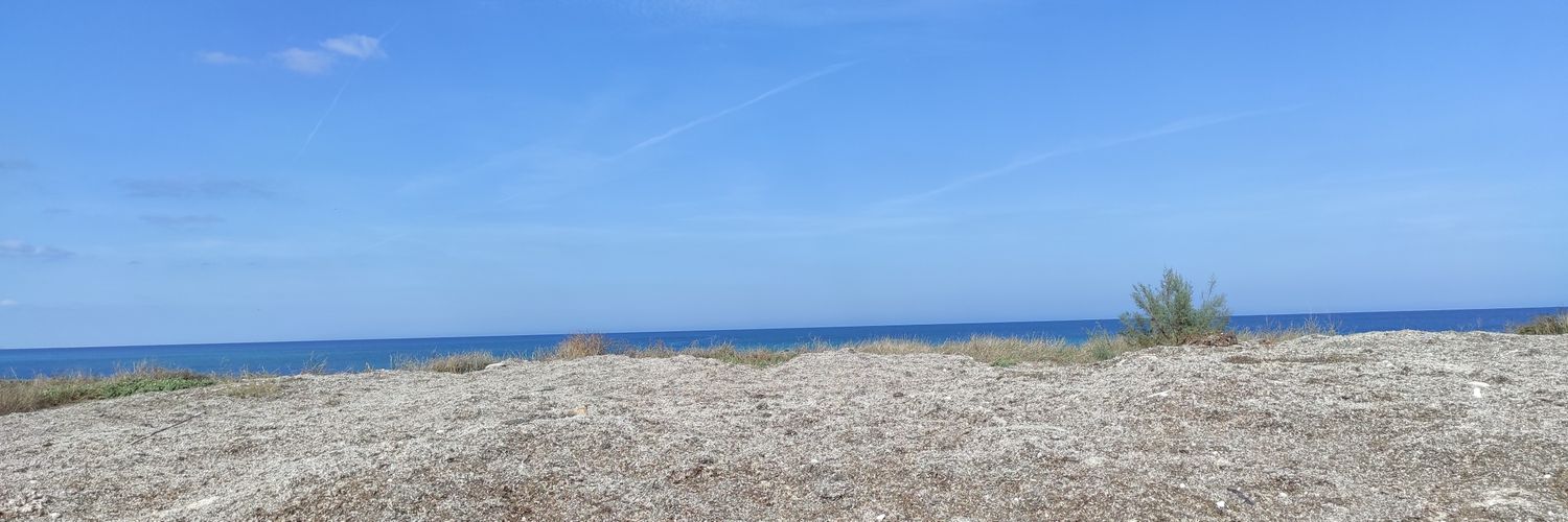 Natalia Meani banner