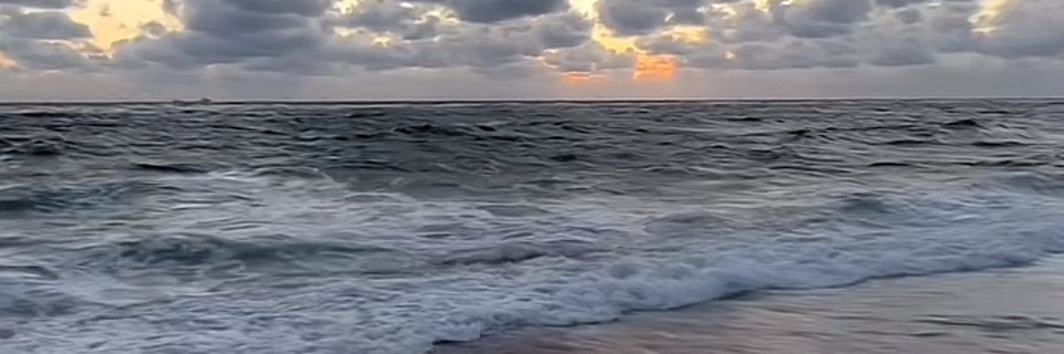 llil___'s profile banner image