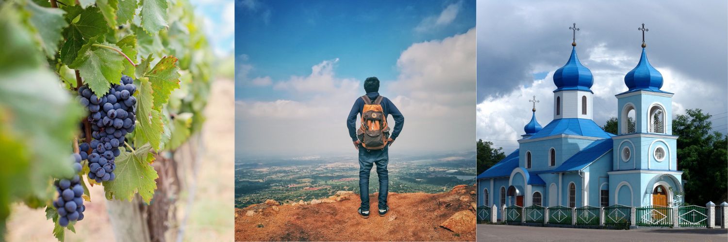 “Life, Dogme, and Wine” banner