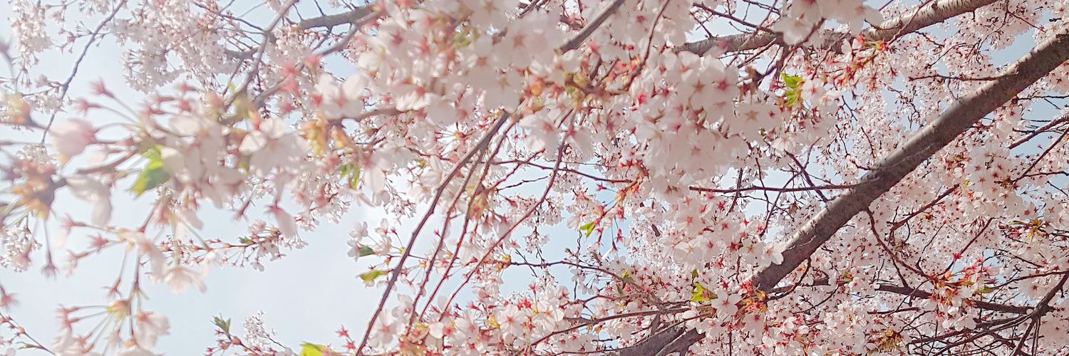 Pretty_Heain's profile banner image