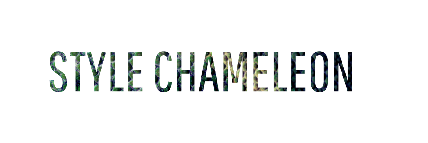 Style_Chameleon's profile banner image