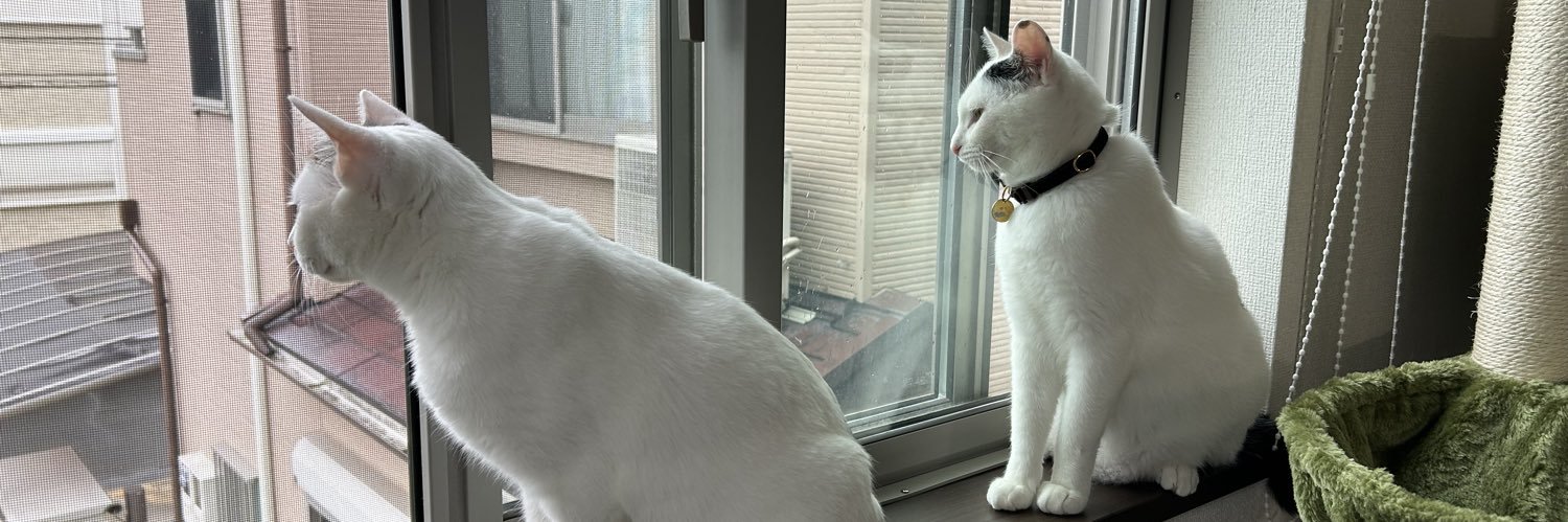 nonta3's profile banner image