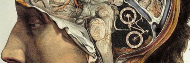 crlsvilella's profile banner image