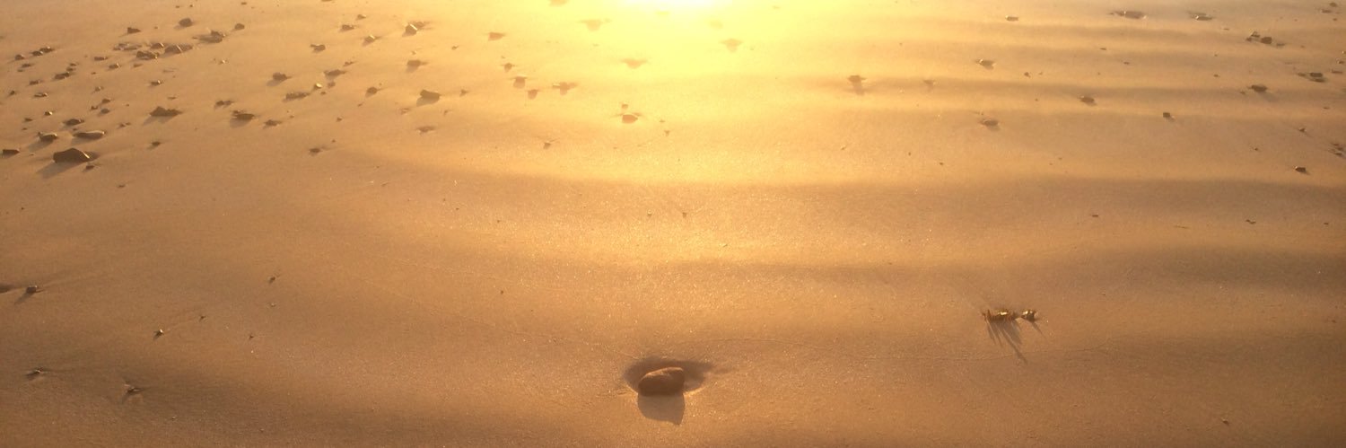 David Mitchell banner