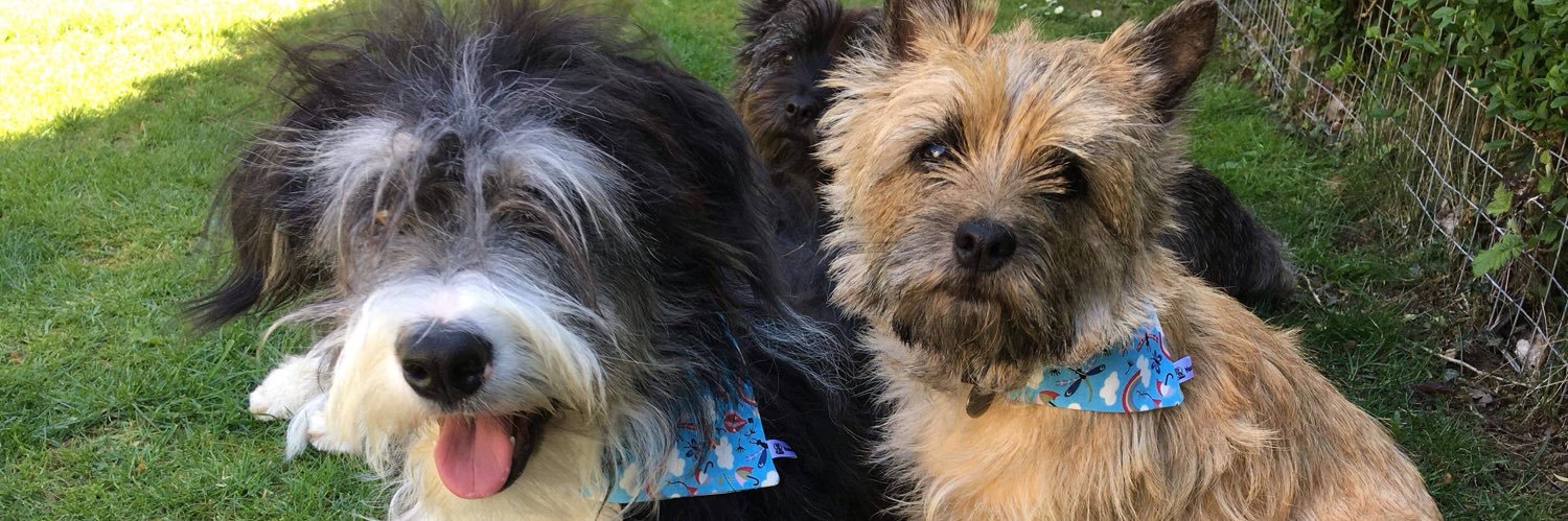 Hearts & Bones banner