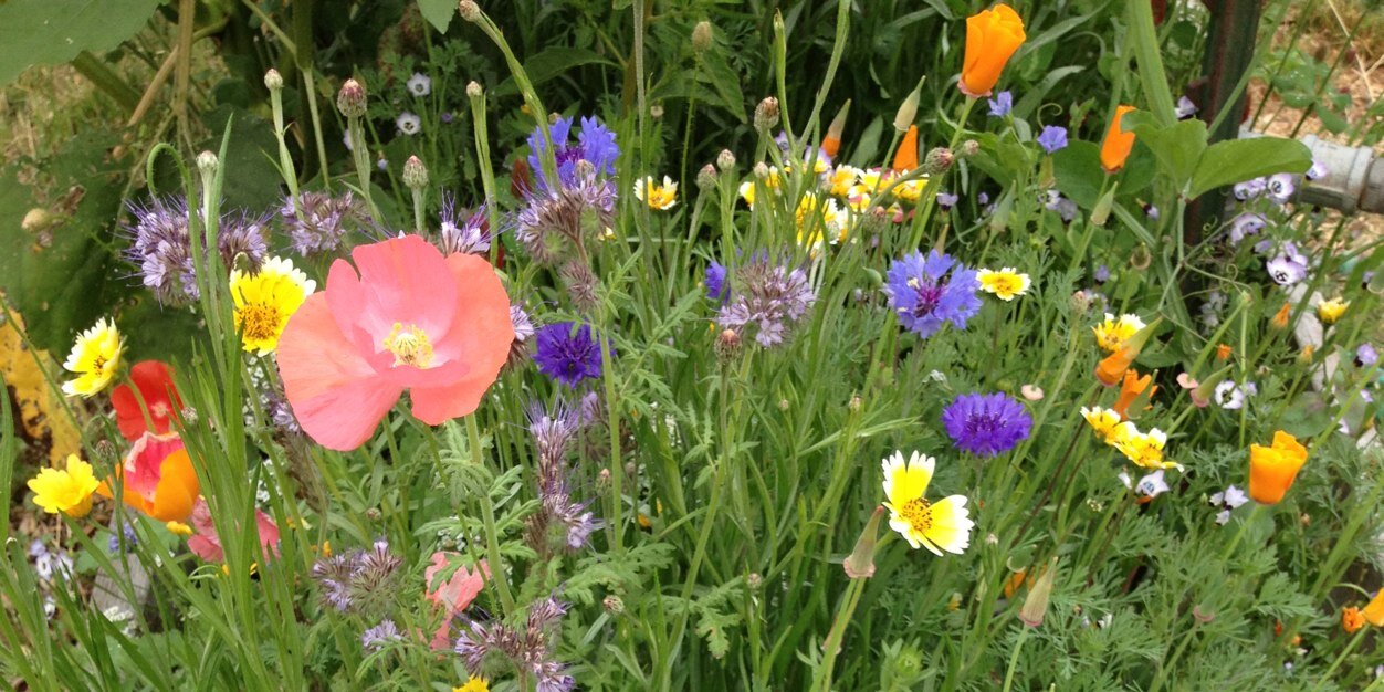 rhinorenata's profile banner image