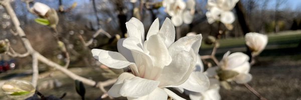 Rebeccarivas Profile Banner