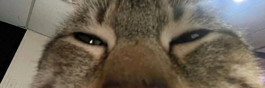 quloai's profile banner image