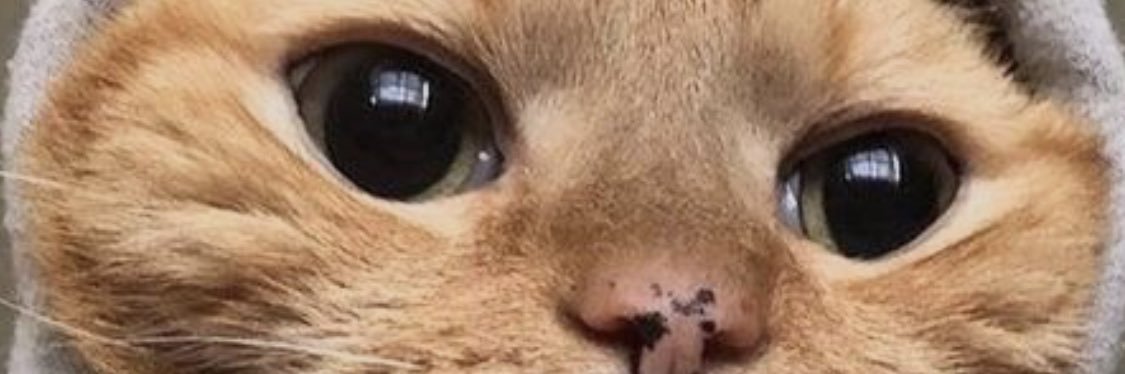 ciriiiii's profile banner image