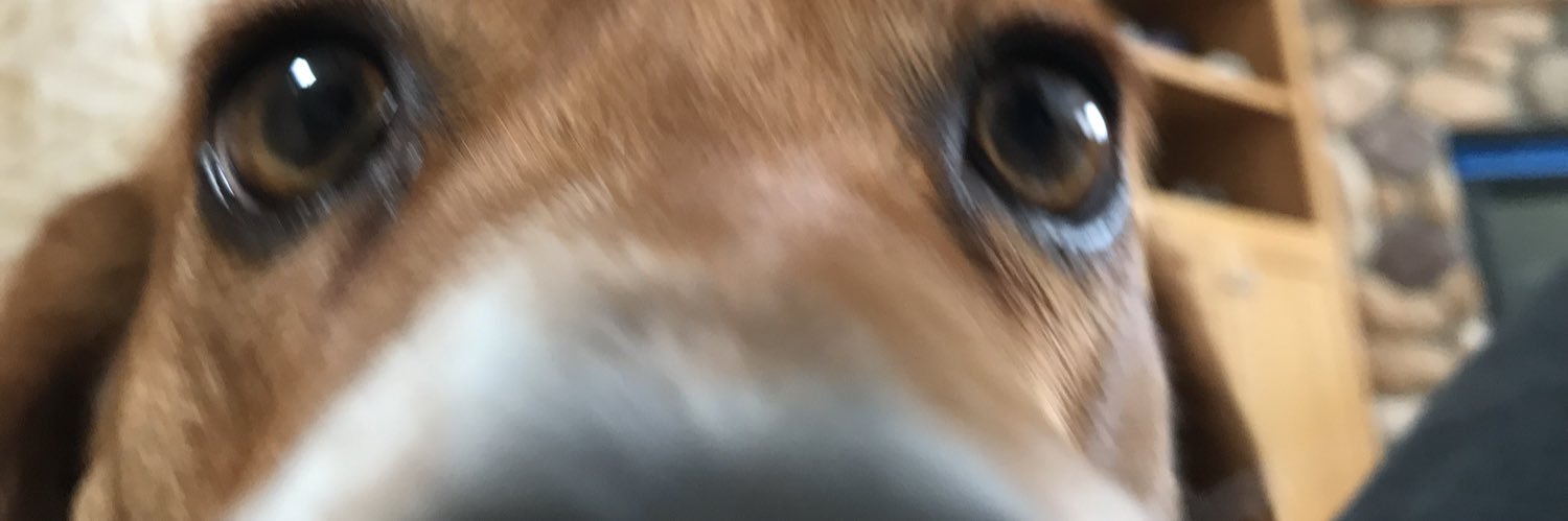 ammytaylor's profile banner image