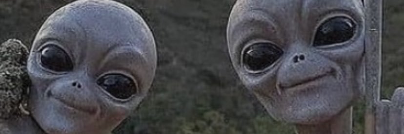 hulyaboztepee's profile banner image