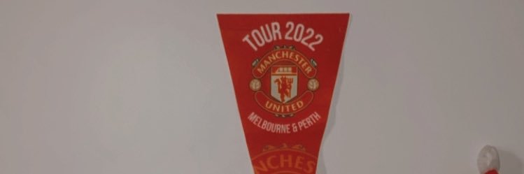 V banner