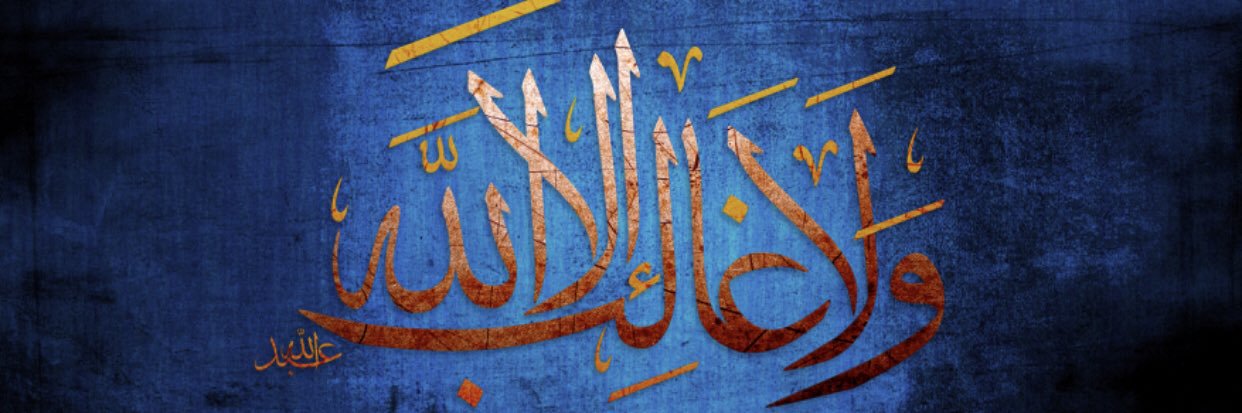 علياء غالب banner