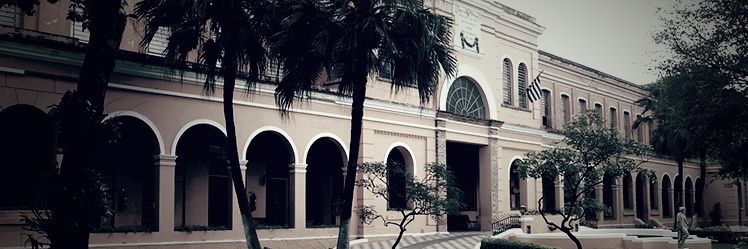 MarciaJulio's profile banner image