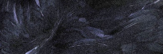 דן banner