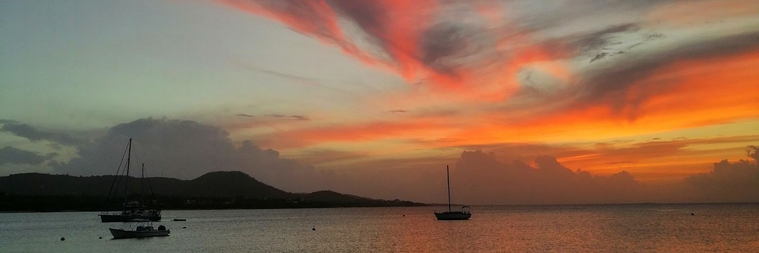 plrincon's profile banner image