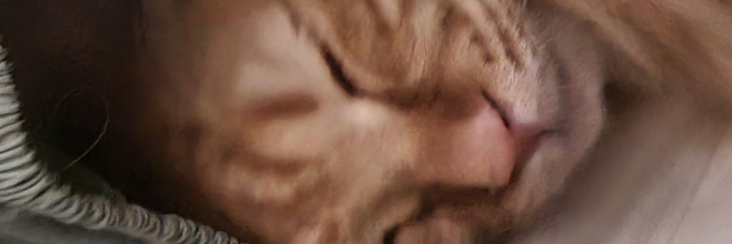 hellodh_box's profile banner image