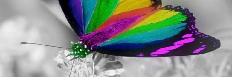 Franziska ⚓🍀🐇❤️🌈🐇🎈 🐰🍀🌈 banner