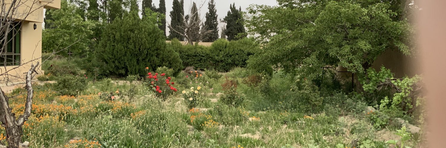 Jamil Akbar Bugti banner