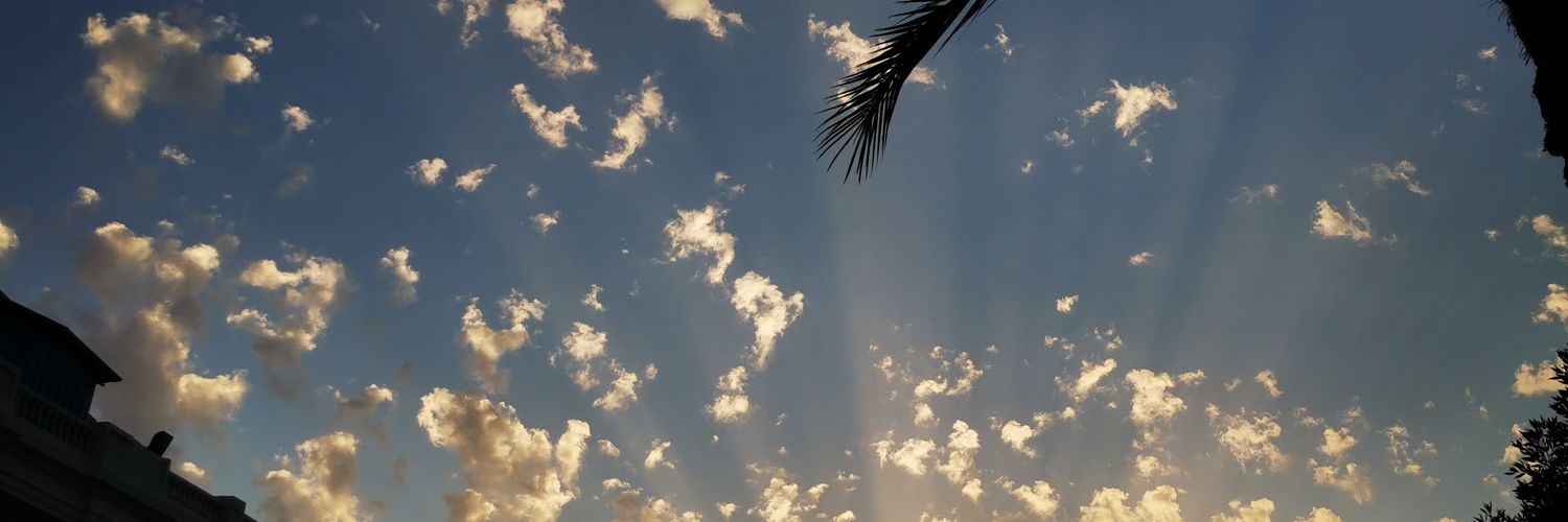 mariokady's profile banner image