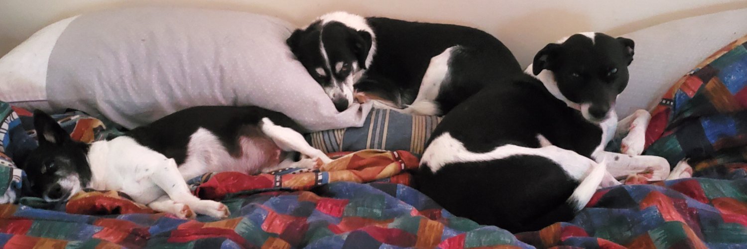 Murph&theMutts&JunebugTheCat banner