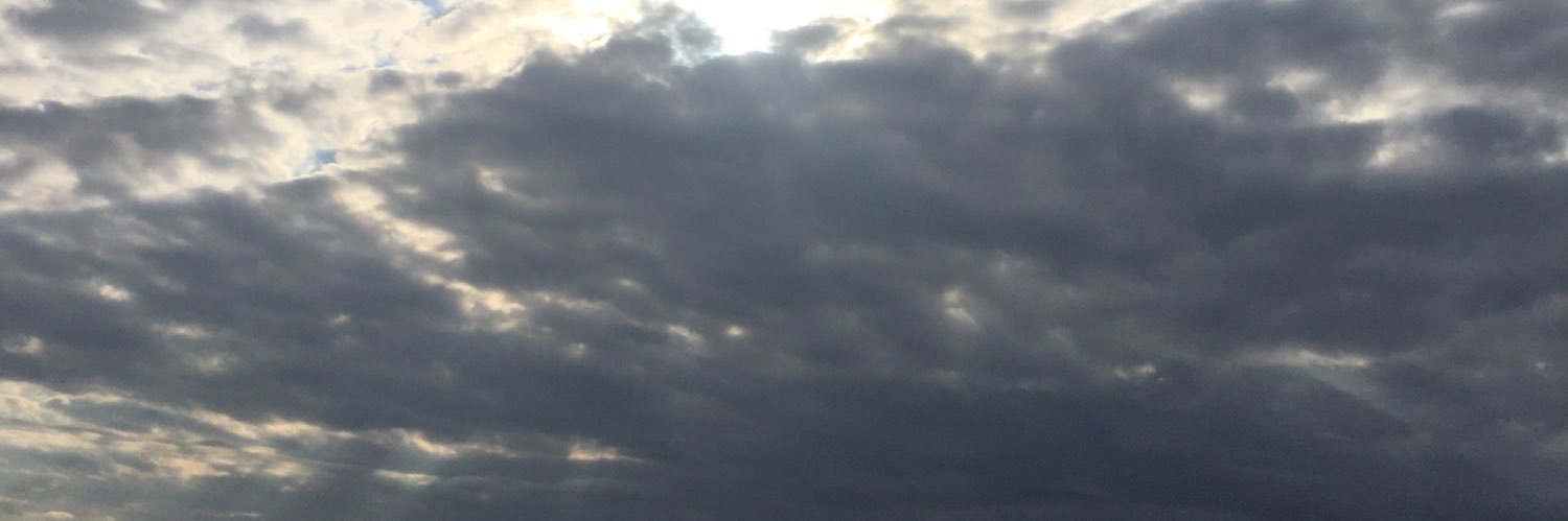 vtamer4's profile banner image