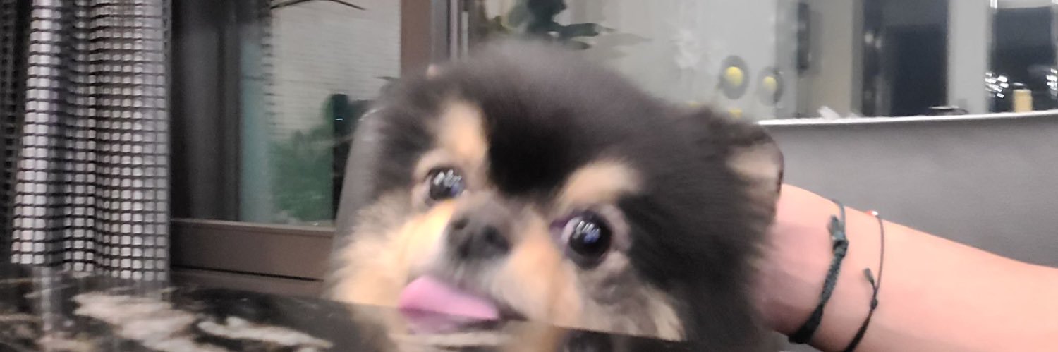 tttiiffany's profile banner image